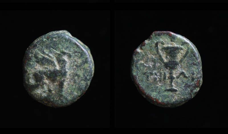 IONIA, Teos, 3rd c. BCE, AE10. 1.3g, 10mm
Obv: Griffin seated on haunches right,...