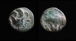 CARIA, Rhodes, 394-304 BCE, AE Chalkous. 
Obv: Rose with bud.
Rev: P - O, letters in lower field to left and right of rose.
SNG Copenhagen 248