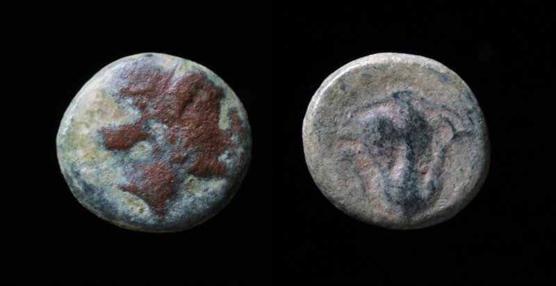 CARIA, Rhodes, 350-300 BCE, AE Chalkous.
Obv: Head of nymph Rhodos right
Rev: Ro...