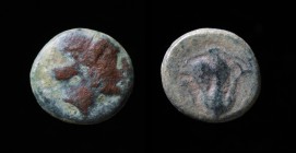 CARIA, Rhodes, 350-300 BCE, AE Chalkous.
Obv: Head of nymph Rhodos right
Rev: Rose with one bud right P/O on either side 
Ashton 2001, 124