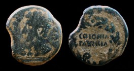 HISPANIA ULTERIOR, Colonia Patricia (Corduba): Augustus (27 BCE - 14 CE), AE As, 9.35g, 26mm.
Obv: PERM CAES AVG; bare head left.
Rev: COLONIA PATRICI...