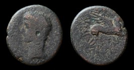 CORINTHIA, Corinth: Caligula (37-41), AE21, issued 37-38 by P. Vipsanius Agrippa and M. Bellius Proculus, duoviri. 7.63g, 21mm.
Obv: CAESAR AVGVST; ba...