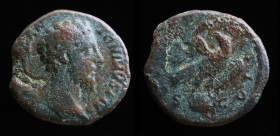 Divus Marcus Aurelius, (161-180), AE As, issued under Commodus, 180. Rome.
Obv: DIVVS M ANTONINVS P AVG; Bare head right.
Rev: CONSECRATIO; Eagle stan...
