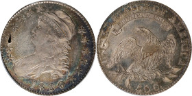 1820 Capped Bust Half Dollar. O-105. Rarity-1. Die State 105.1. Square Base Knob 2, Large Date. EF Details--Holed (PCGS).

PCGS# 39567. NGC ID: 24FD...