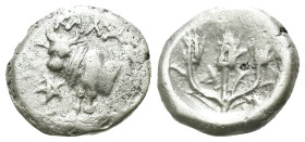 Thrace. Kalchedon. (387-340 BC) AR Hemidrachm. Obv: Forepart of bull left with pentagram. Rev: three corn-ears. Weight 1.90 gr - Diameter 13 mm