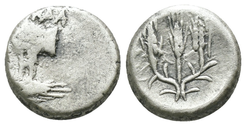 Thrace. Kalchedon. (387-340 BC) AR Hemidrachm. Obv: Forepart of bull left with p...