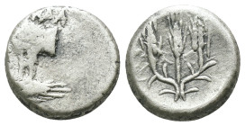 Thrace. Kalchedon. (387-340 BC) AR Hemidrachm. Obv: Forepart of bull left with pentagram. Rev: three corn-ears. Weight 1.92 gr - Diameter 12 mm