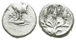 Thrace. Kalchedon. (387-340 BC) AR Hemidrachm. Obv: Forepart of bull left with pentagram. Rev: three corn-ears. Weight 1.76 gr - Diameter 11 mm