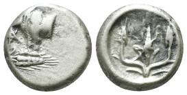 Thrace. Kalchedon. (387-340 BC) AR Hemidrachm. Obv: Forepart of bull left with pentagram. Rev: three corn-ears. Weight 2.00 gr - Diameter 12 mm