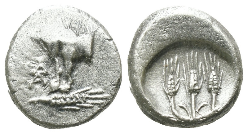 Thrace. Kalchedon. (387-340 BC) AR Hemidrachm. Obv: Forepart of bull left with p...