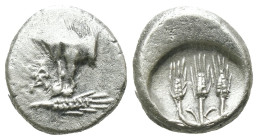 Thrace. Kalchedon. (387-340 BC) AR Hemidrachm. Obv: Forepart of bull left with pentagram. Rev: three corn-ears. Weight 1.89 gr - Diameter 12 mm