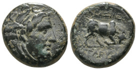 Seleucid Kingdom. Seleukos I. Nikator. (300-286 BC). Bronze Æ. Antioch. Weight 7.61 gr - Diameter 19 mm