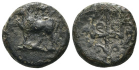 Thrace. Byzantion. (387-340 BC) Bronze Æ. Obv: Forepart of bull left over dolphin. Rev: trident. Weight 4.01 gr - Diameter 16 mm