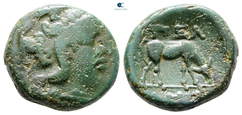 Macedon. Pella circa 187-31 BC. 
Bronze Æ

18 mm, 6,09 g



Good Fine