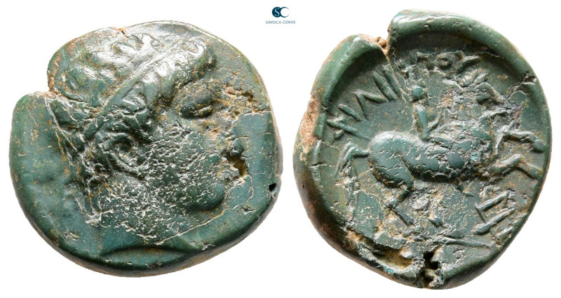 Kings of Macedon. Uncertain mint. Philip II of Macedon 359-336 BC. 
Bronze Æ
...