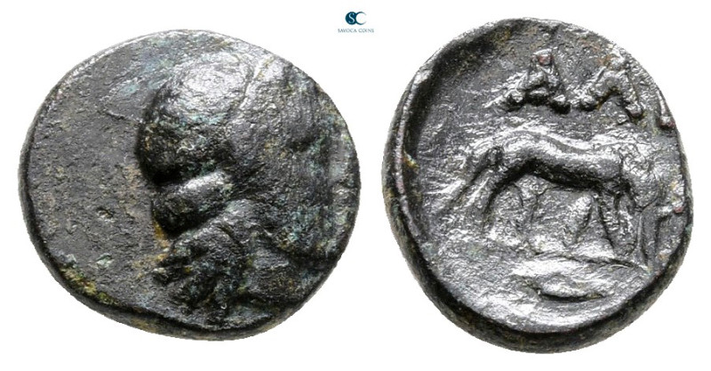 Thrace. Alopeconnesus circa 300-200 BC. 
Bronze Æ

10 mm, 0,83 g



Very ...