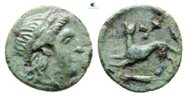 Lesbos. Nesos circa 300-200 BC. Bronze Æ