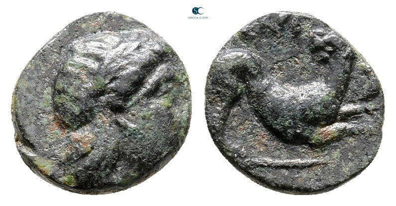 Lesbos. Nesos circa 300-200 BC. 
Bronze Æ

8 mm, 0,55 g



Very Fine