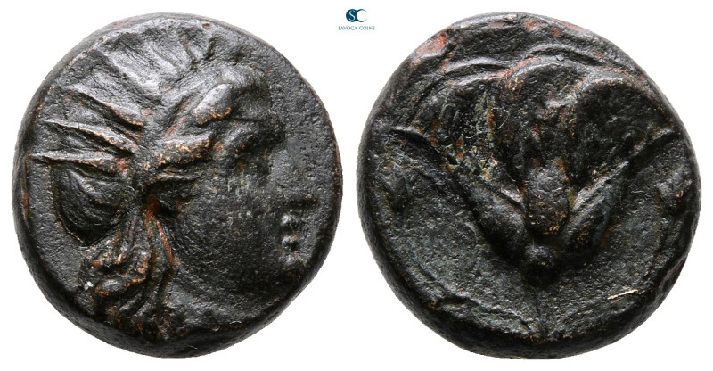 Islands off Caria. Rhodos circa 229-205 BC. 
Bronze Æ

15 mm, 4,94 g



V...