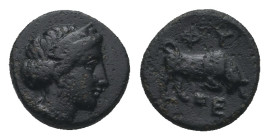 IONIA. Phygela. Ae (Circa 350-300 BC).
.
Condition: Very Fine.
Weight: 1.73 g.
Diameter: 11.2 mm.