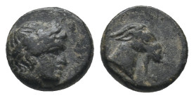 AEOLIS. Aigai. Ae (4th-3rd centuries BC).
.
Condition: Very Fine.
Weight: 1.18 g.
Diameter: 10 mm.