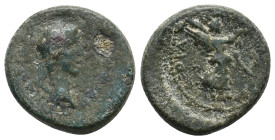 IONIA. Smyrna. Caligula (37-41). Ae.
.
Condition: Fine.
Weight: 4.51 g.
Diameter: 18.5 mm