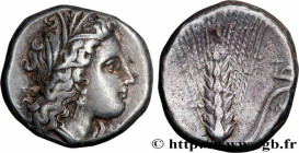 LUCANIA - METAPONTUM
Type : Nomos, statère ou didrachme 
Date : c. 330-290 AC. 
Mint name / Town : Métaponte, Lucanie 
Metal : silver 
Diameter : 20  ...