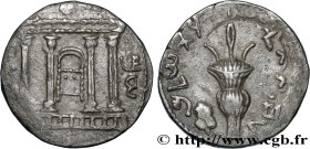 JUDAEA - SECOND REVOLT - BAR KOKHBA
Type : Tétradrachme (sela) 
Date : an 3 
Mint name / Town : Jérusalem 
Metal : silver 
Diameter : 25,5  mm
Orienta...