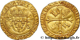 LOUIS XII, FATHER OF THE PEOPLE
Type : Écu d'or aux porcs-épics 
Date : 19/11/1507 
Date : n.d. 
Mint name / Town : Lyon 
Metal : gold 
Millesimal fin...