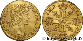 LOUIS XIII
Type : Demi-louis d'or aux huit L (effigie de Jean Warin) 
Date : 1640 
Mint name / Town : Paris, Monnaie du Louvre 
Quantity minted : 1812...