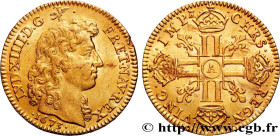 LOUIS XIV "THE SUN KING"
Type : Louis d’or aux huit L, portrait à la tête nue 
Date : 1673 
Mint name / Town : Paris 
Quantity minted : 41516 
Metal :...