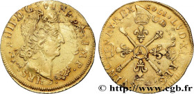 LOUIS XIV "THE SUN KING"
Type : Double louis d'or aux insignes, portrait aux cheveux courts 
Date : n.d. 
Mint name / Town : Paris 
Quantity minted : ...