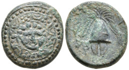 Kingdom of Macedon, Philip III Arrhidaios Æ Half Unit. Salamis, circa 323-317 BC. Macedonian shield, facing gorgoneion on boss / Helmet; B-A across up...