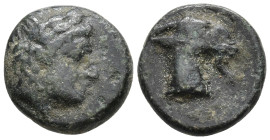 Aeolis, Aigai Æ 15mm. Circa 3rd century BC. Laureate head of Apollo to right / Head and neck of a goat to right, AIΓAE behind. BMC 2-4; SNG Copenhagen...