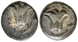 Rhodes Æ 11mm. Circa 205-188 BC. Rose / Rose; P-[O] below. SNG von Aulock 2798; SNG Keckman 599. 1.52g, 11,1mm, 12h.
Near Very Fine.