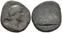 "Cappadocia. Caesarea. Claudius AD 41-54. Bronze Æ ΤΙΒΕΡΙΟϹ ΚΛΑΥΔΙΟϹ ΚΑΙϹΑΡ ϹΕΒΑϹΤΟϹ laureate head of Claudius, r.ΚΑΙϹΑΡ ΕΤ
Η Mount Argaeus surmounte...