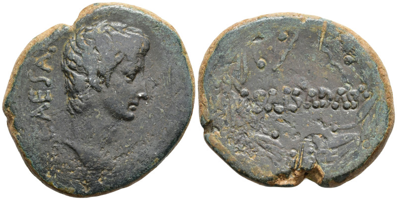 Provincial Coins Æ 20,27g, 23,4mm.