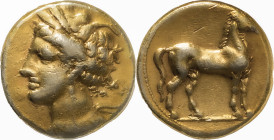 Greek Coins
The Carthaginians in Sicily, Sardinia and North Africa. Stater, Carthage 350-320, AV 7.38 g. Head of Tanit l., wearing barley-wreath, bar ...