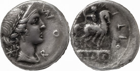 The Roman Republic
Mn. Aemilius Lepidus AR Denarius, 3,72g. Rome, 114 BC. Laureate female bust right; before, ROMA upwards, star behind Rev Three arch...