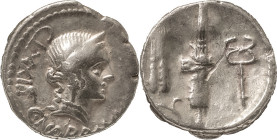 The Roman Republic
C. Norbanus. Denarius 83, AR 3.96 g. Head of Venus r.; below, C NORBANVS; behind, control numeral. Rev. Corn ear, fasces with axe a...