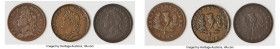 Nova Scotia. George IV 3-Piece Lot of Uncertified "Thistle" 1/2 Penny Tokens 1824 Fine, 1) 1/2 Penny Token, NS-1C1. Far "P." 2) 1/2 Penny Token, NS-1C...