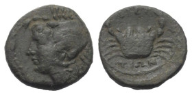 Bruttium. Brettii.

 Bronze. Ca. 216 - 214 v. Chr.
Vs: Kopf einer weiblichen Meeresgottheit (Amphitrite ?) mit Krabbenkopfbedeckung links.
Rs: Kra...