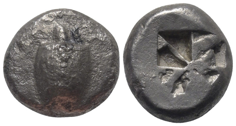 Inseln vor Attika. Aigina.

 Stater (Silber). Ca. 525 - 475 v. Chr.
Vs: Seesc...