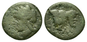 Italy, Southern Campania, Neapolis, c. 250-225 BC. Æ (14mm, 1.65g). Laureate head of Apollo l. R/ Forepart of man-headed bull r. HNItaly 597.