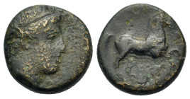 Kings of Macedon. Alexander II (370/69-368/7 BC). Æ Unit (14,5mm, 3.46g). Hero Themenos head right, wearing tainia. R/ AΛE-ΞAN-ΔPO, horse prancing rig...