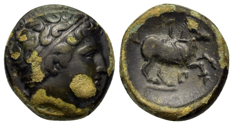 Kings of Macedon. Philip II (359-336 BC). Æ (). Young male head r., hair bound w...