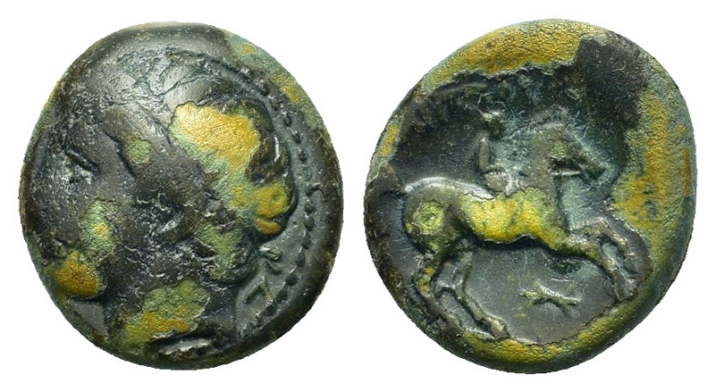 Kings of Macedon. Philip II (359-336 BC). Æ (14,6mm, 3,8g). Young male head l. R...