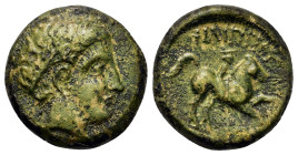 Kings of Macedon. Philip II (359-336 BC). Æ (17mm, 5.6g). Uncertain Macedonian mint. Diademed head of Apollo r. R/ Horseman r.