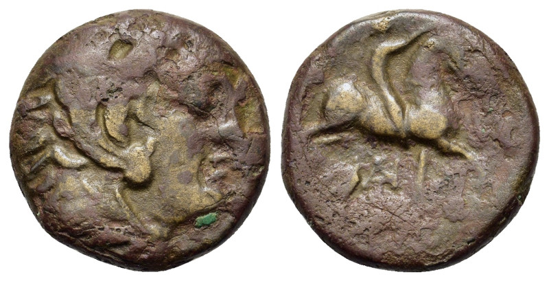 Kings of Macedon. Antigonos II Gonatas (277/6-239 BC). Æ (17,8mm, 5.4g). Macedon...
