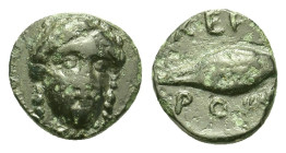 Thrace, Chersonesos, c. 4th century BC. Æ (10,8mm, 1.2g). Facing head of Demeter slightly r. R/ Barley grain.